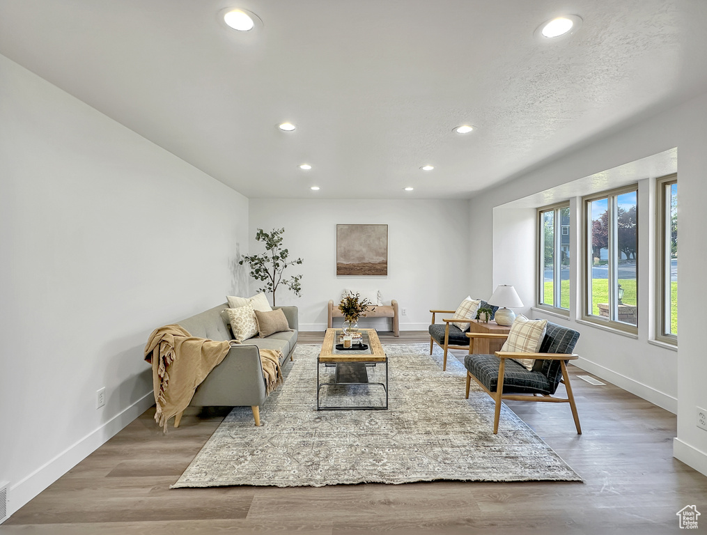 Living room featuring light hardwood / wood-style flooring