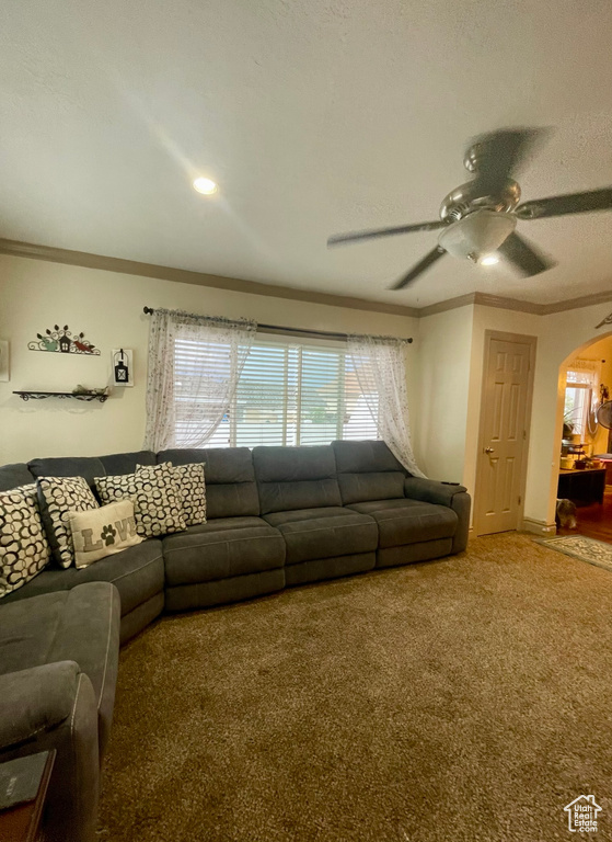 Living room featuring carpet flooring, ceiling fan, and crown molding