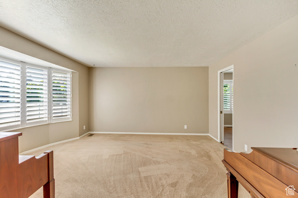 Empty room with light carpet, plenty of natural light, and a textured ceiling