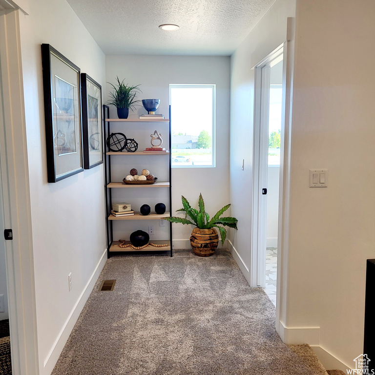 Interior space with carpet flooring and a textured ceiling