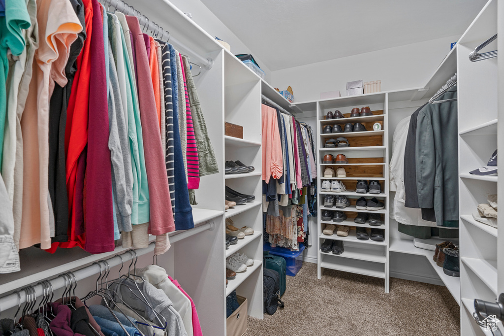 Spacious closet featuring carpet flooring