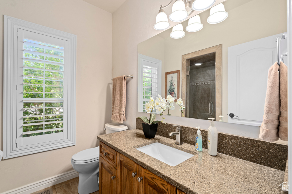 Bathroom featuring a wealth of natural light, toilet, vanity, and a shower with shower door