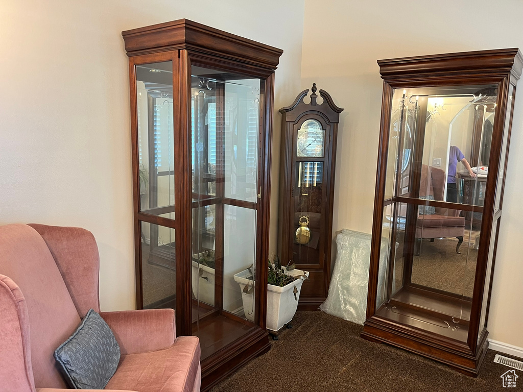 Living area featuring carpet