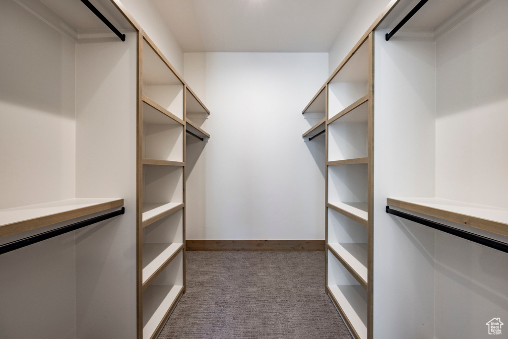 Spacious closet with dark carpet