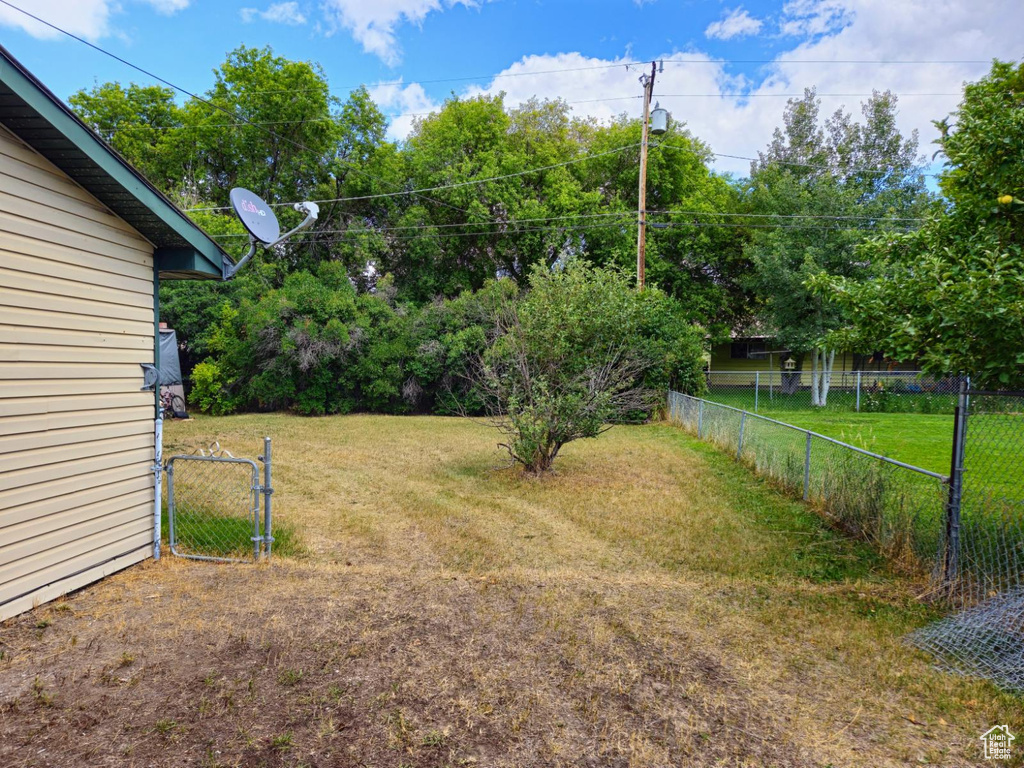 View of yard