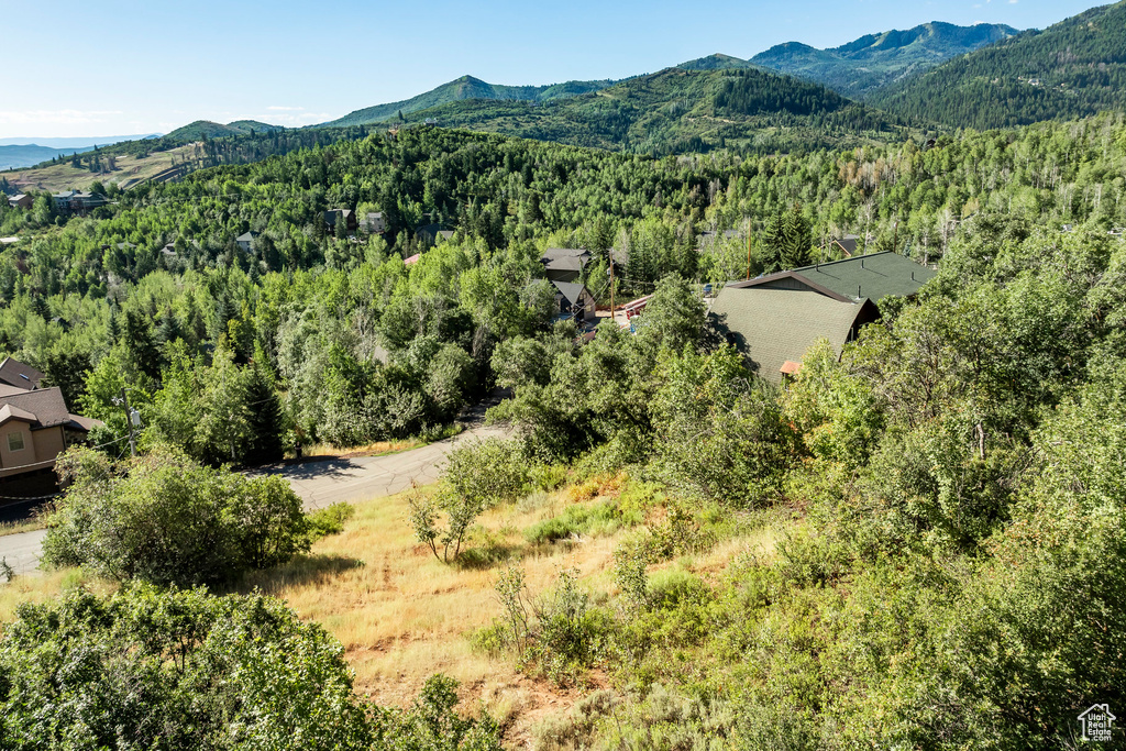 Mountain view featuring a heavily wooded area