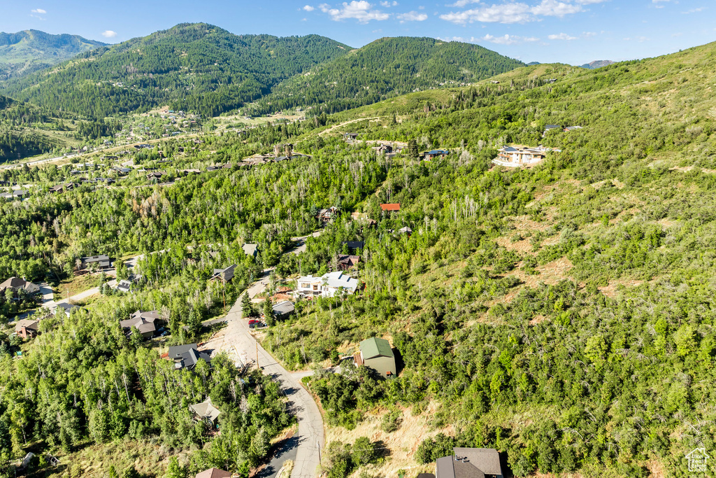 Bird's eye view of a heavily wooded area and mountains