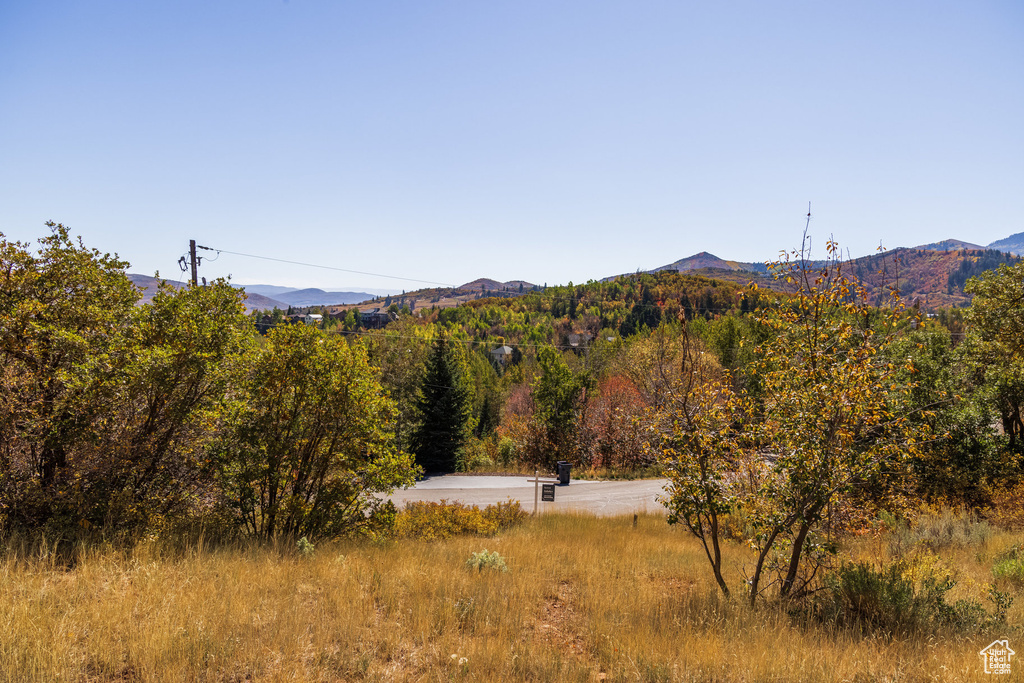 View of mountain background