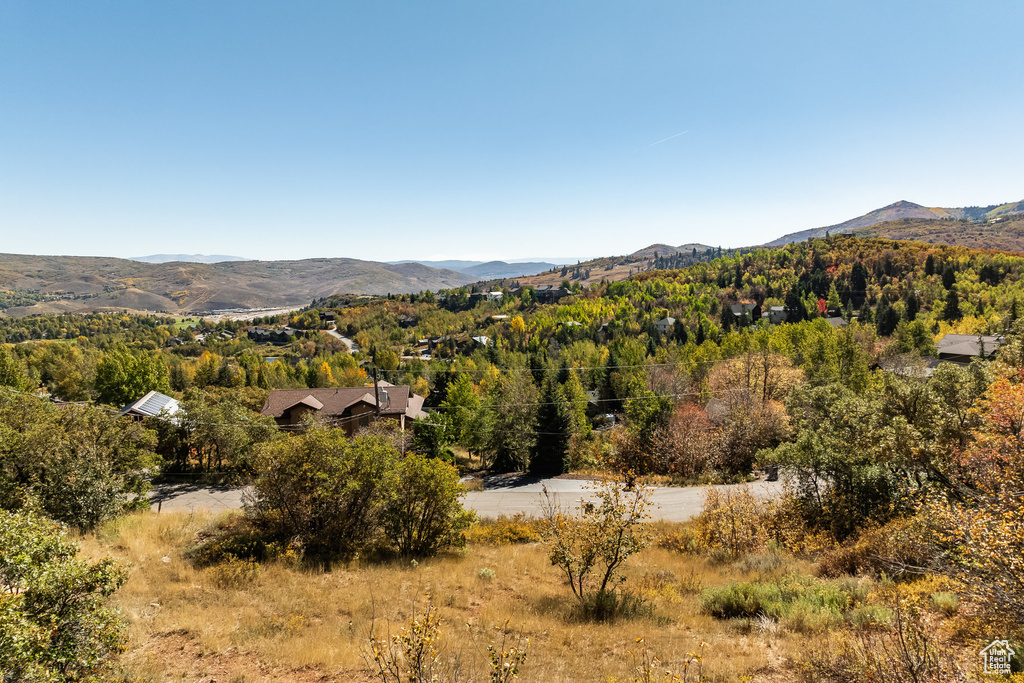View of mountain background