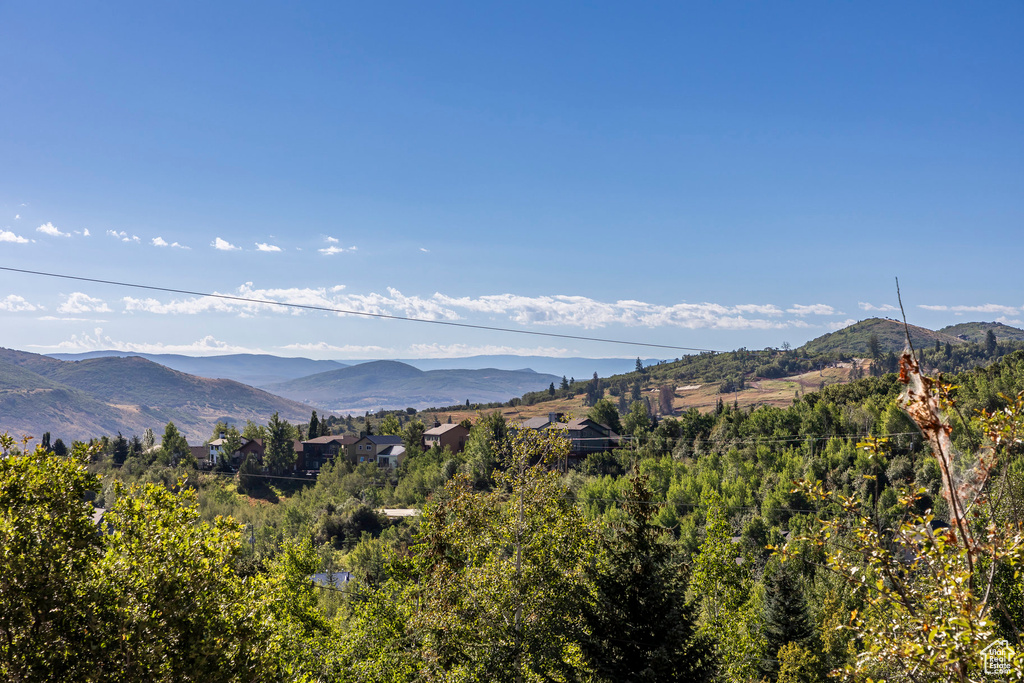 Mountain view