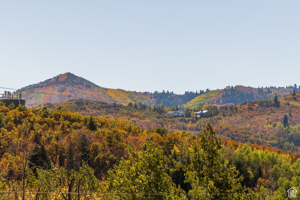 View of mountain backdrop featuring a heavily wooded area