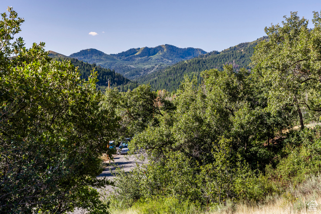 View of mountain backdrop featuring a heavily wooded area