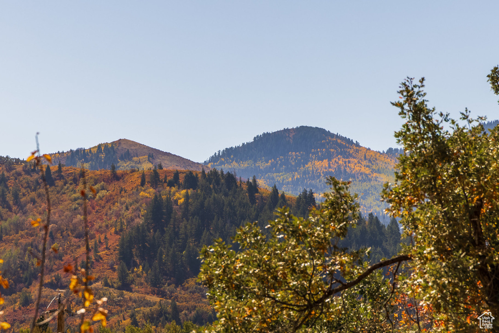 View of mountain background with a forest