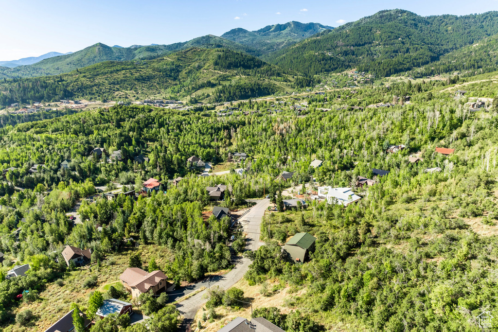 Aerial view of a forest and a mountain backdrop