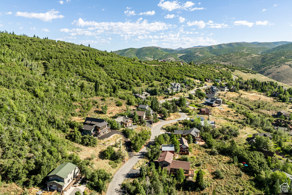 Drone / aerial view of a forest and a mountain backdrop