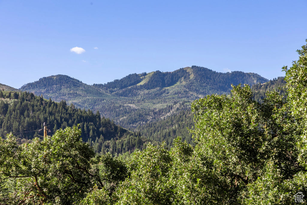 Mountain view featuring a heavily wooded area
