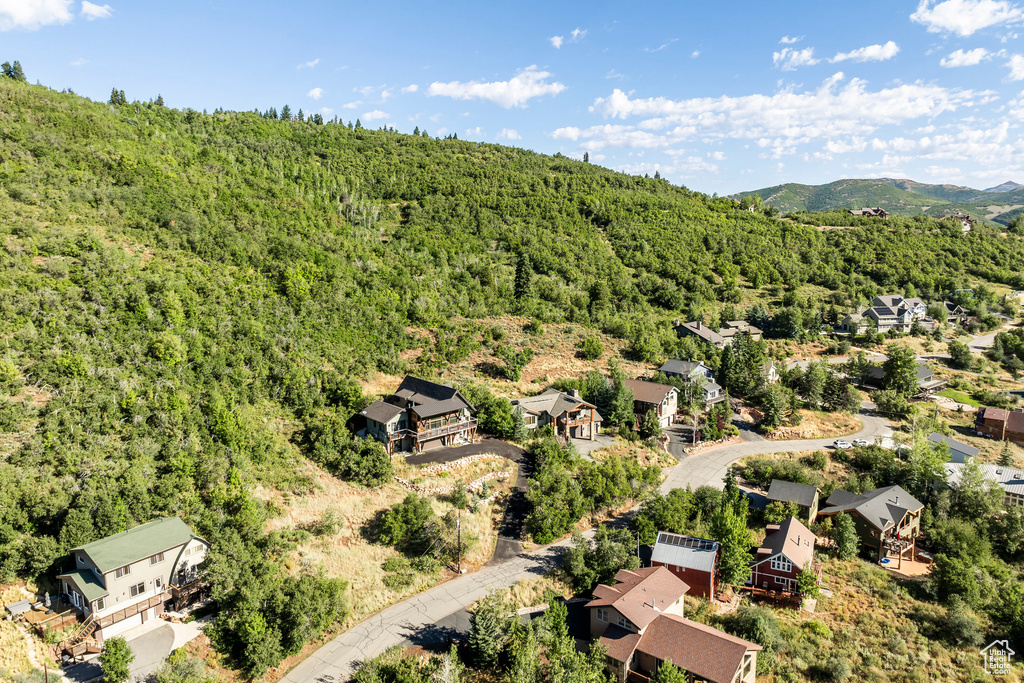 Aerial perspective of suburban area featuring a heavily wooded area and a mountainous background