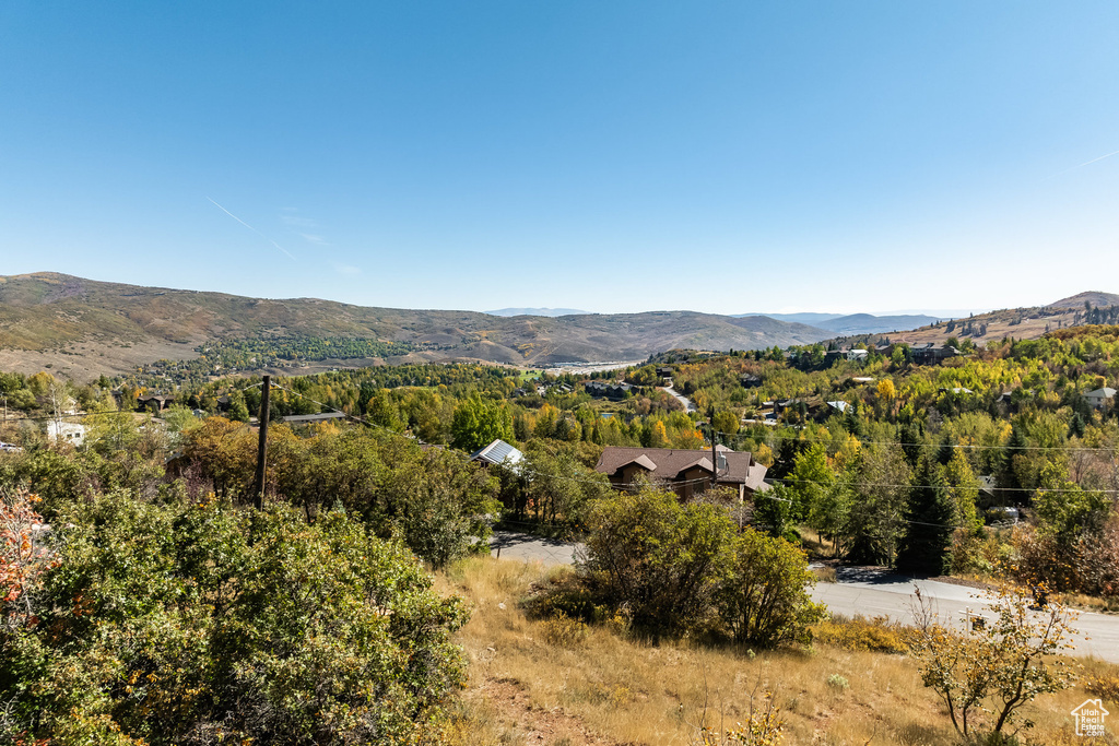 View of mountain background
