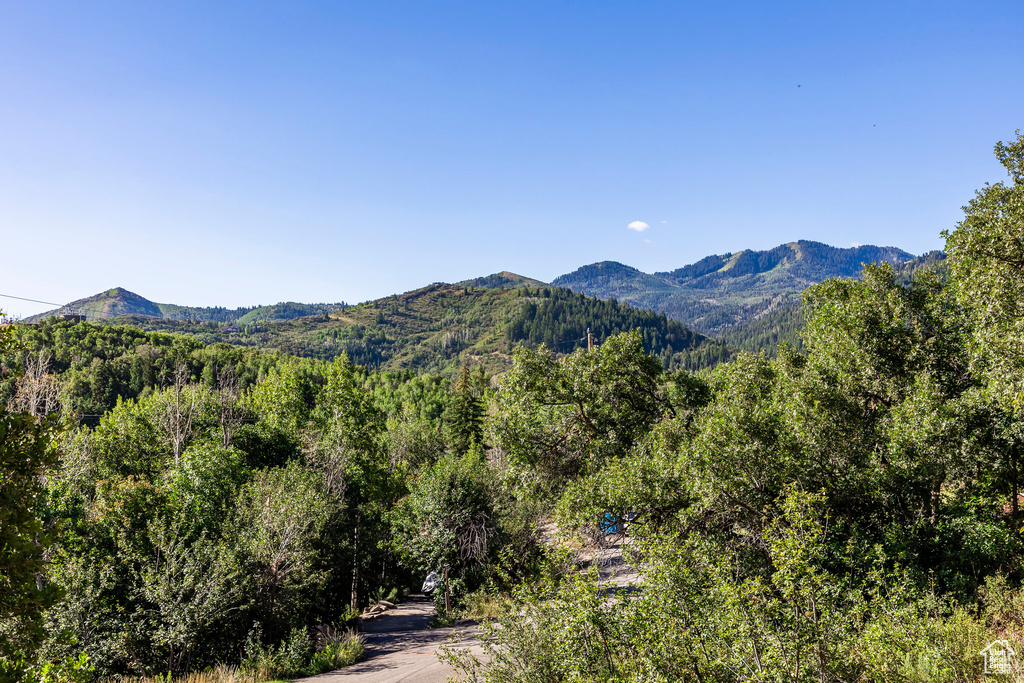 Mountain view featuring a forest