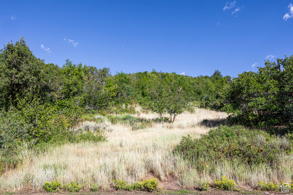 View of wooded area