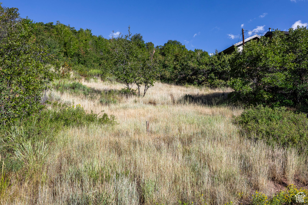 View of nature