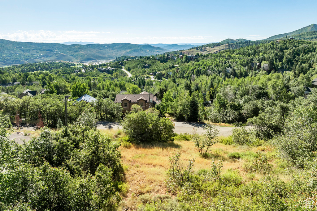 View of mountain background with a heavily wooded area