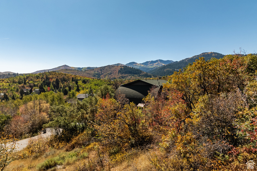 View of mountain background featuring a heavily wooded area