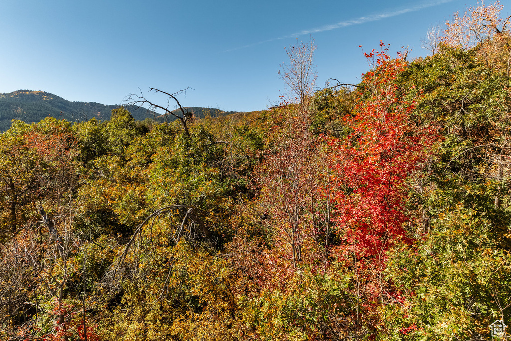 View of mountain backdrop featuring a heavily wooded area
