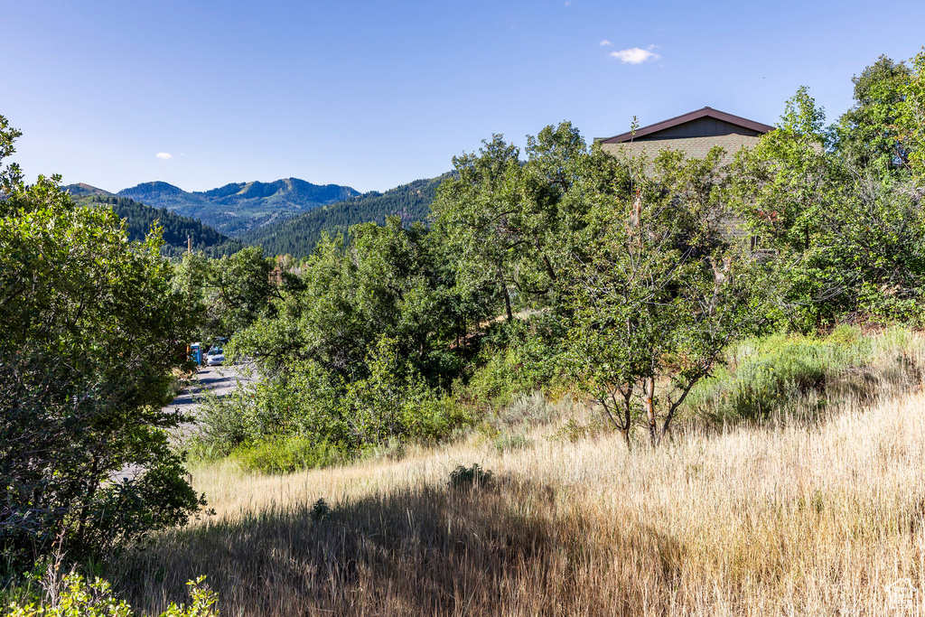 View of mountain backdrop
