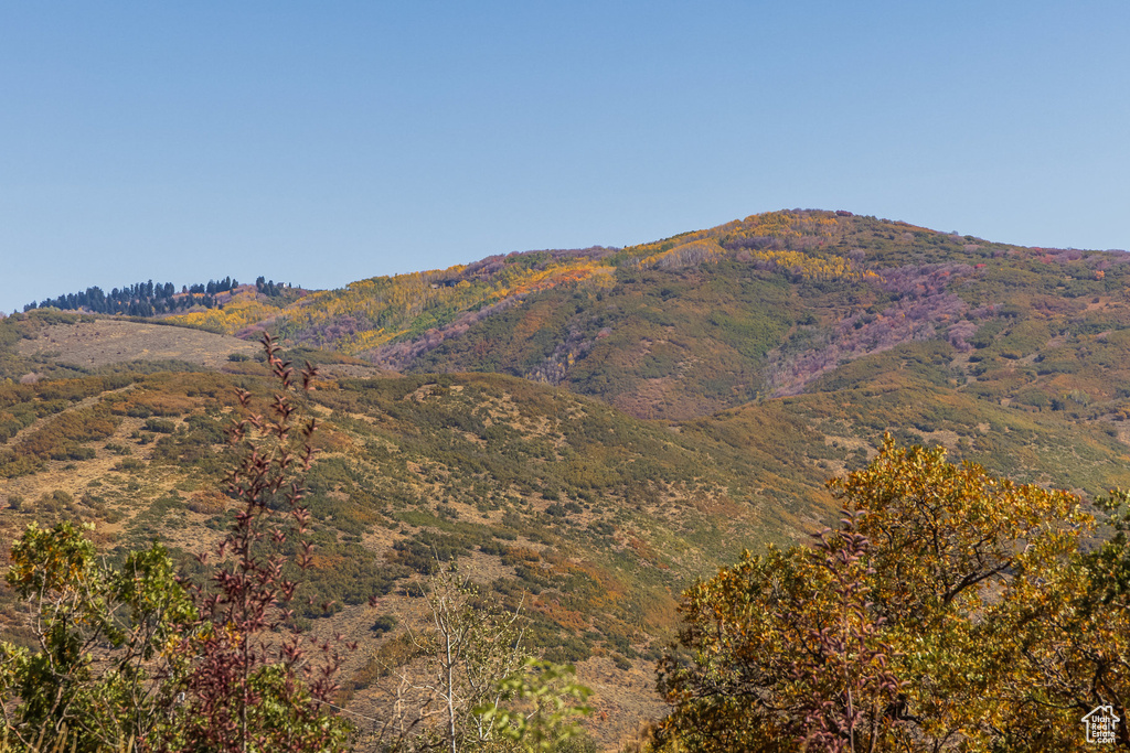 Mountain view