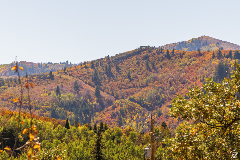 View of mountain background