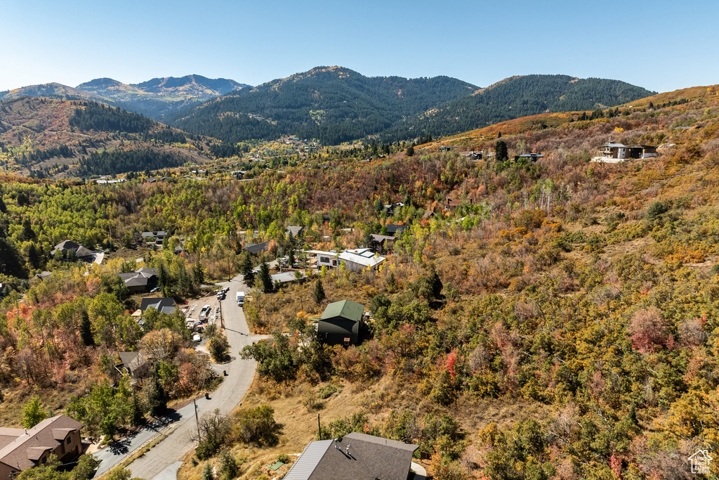View of mountain background featuring a forest