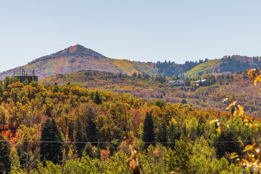 Mountain view featuring a forest