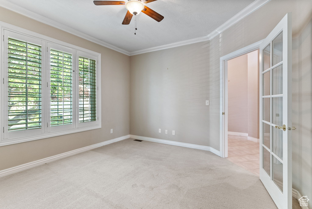 Carpeted spare room featuring crown molding, a healthy amount of sunlight, and ceiling fan