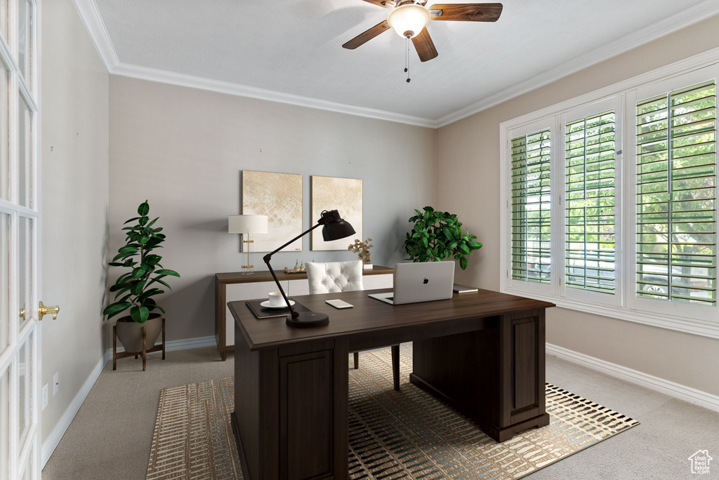 Carpeted office space featuring ceiling fan and ornamental molding