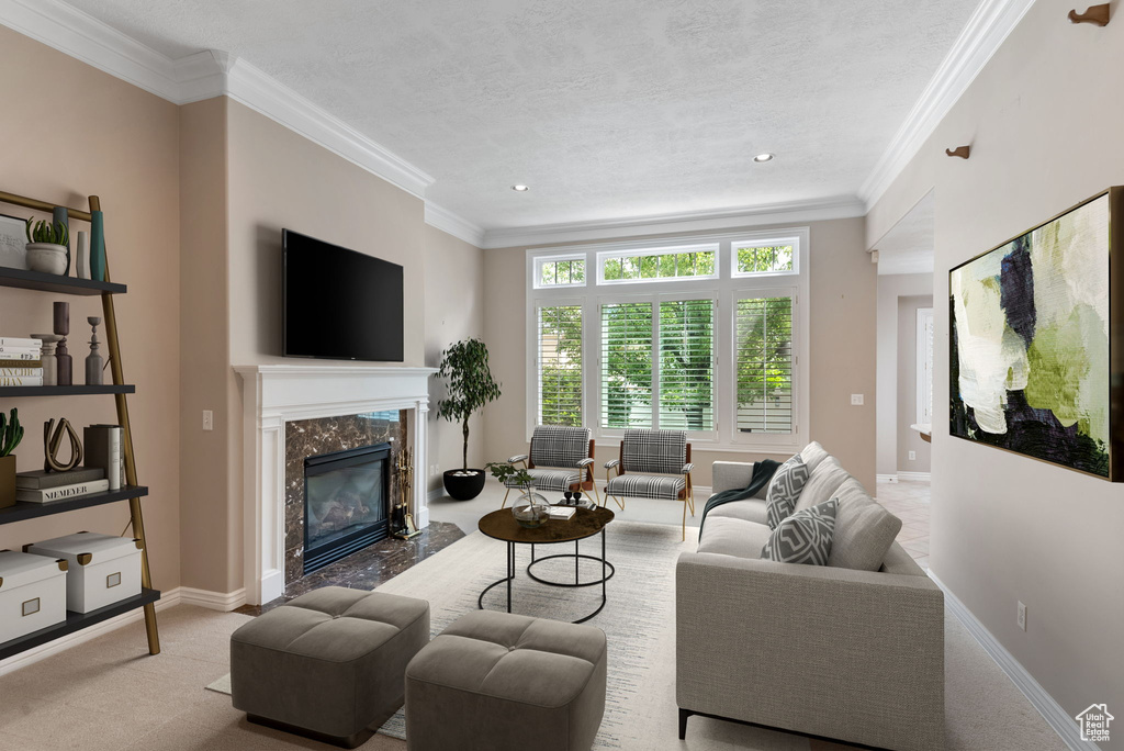 Carpeted living room with ornamental molding, a textured ceiling, and a premium fireplace