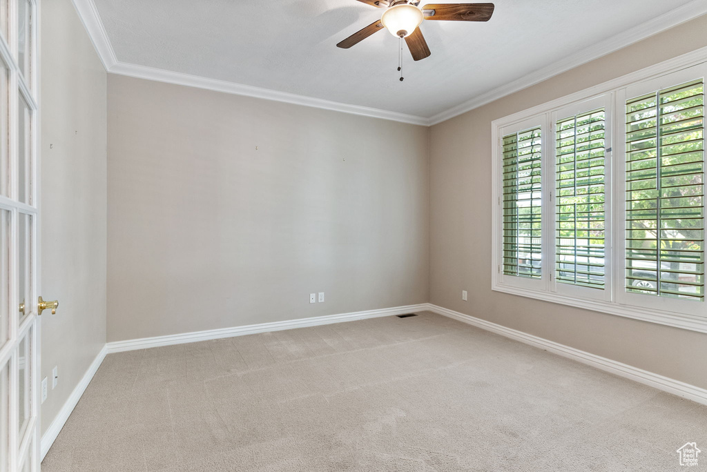 Spare room featuring ceiling fan, ornamental molding, and carpet floors