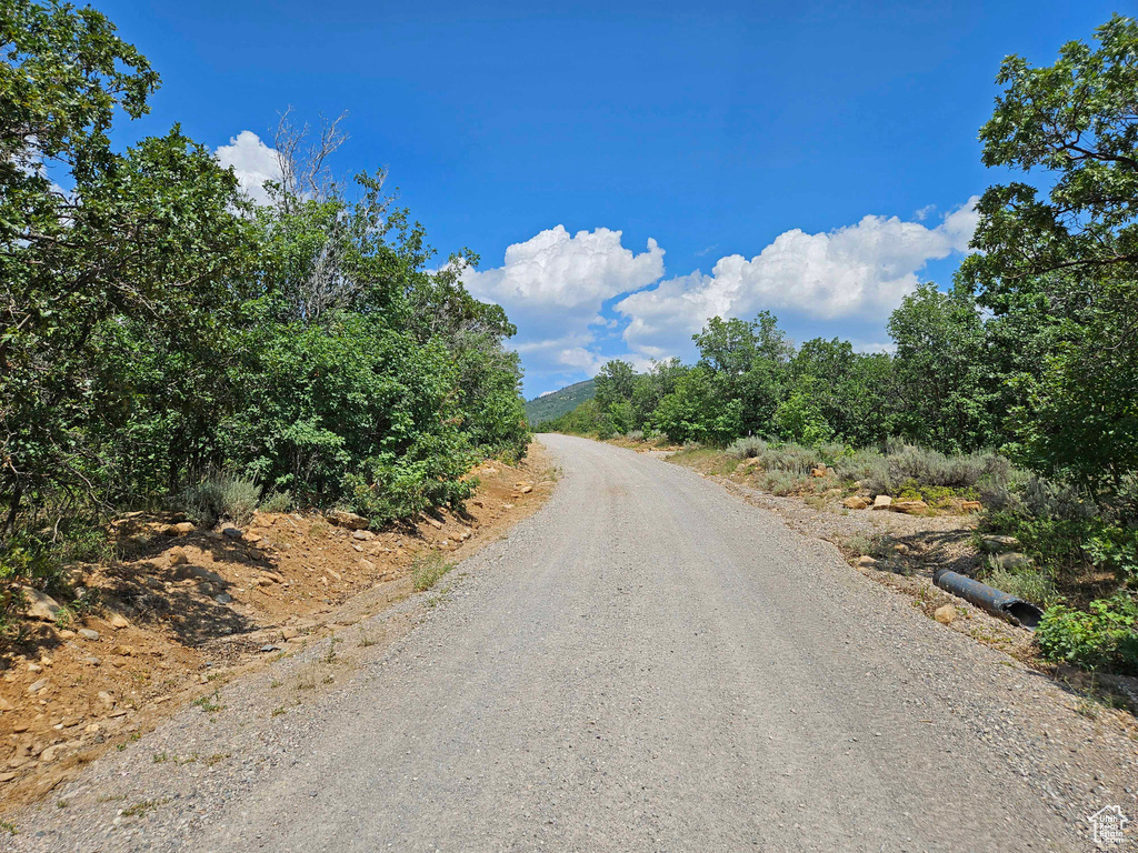 View of road