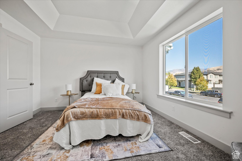 Carpeted bedroom with a tray ceiling
