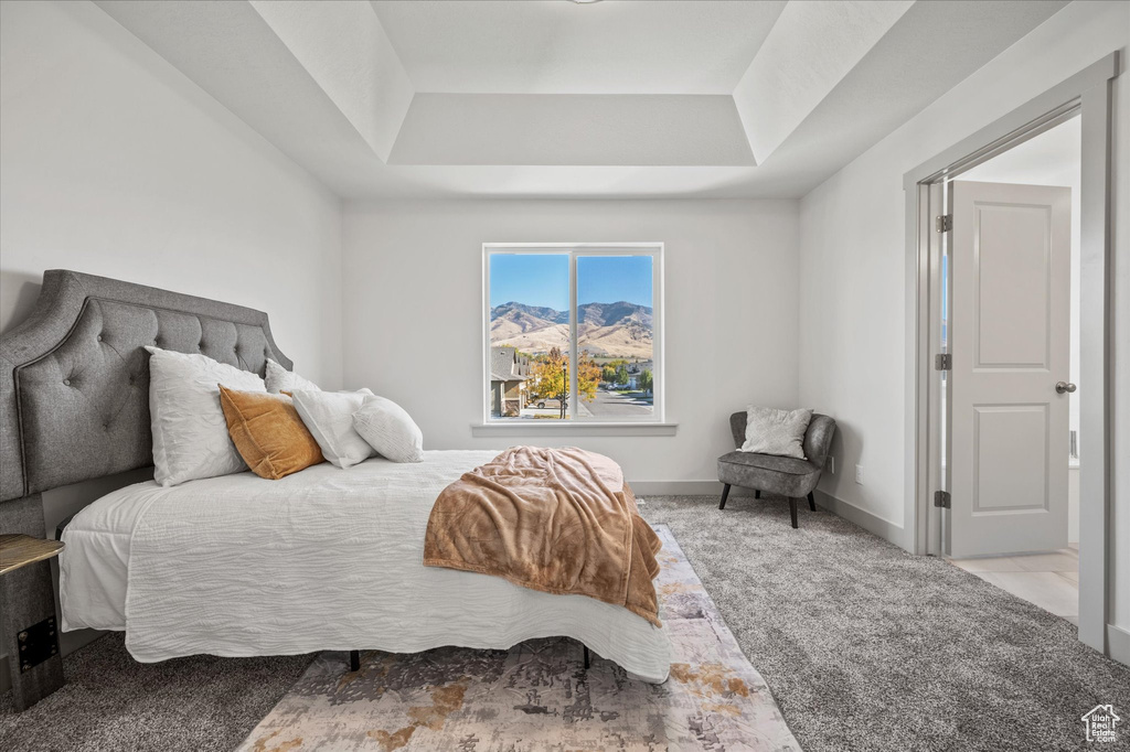 Bedroom with a tray ceiling and carpet