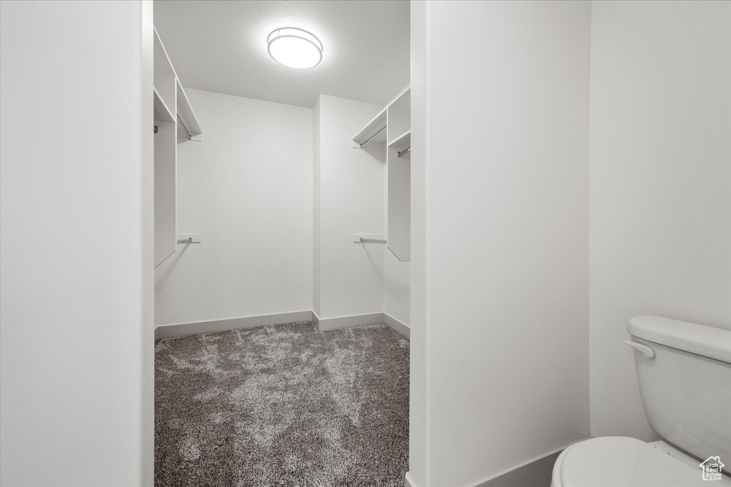 Spacious closet with carpet