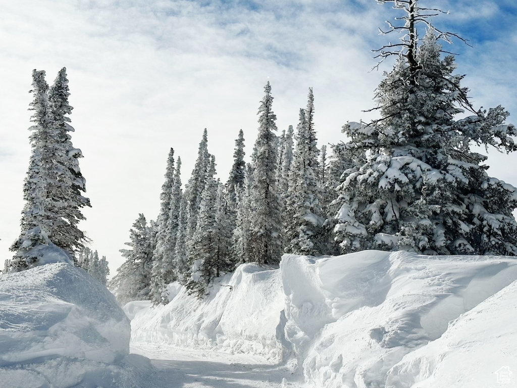 View of snowy view