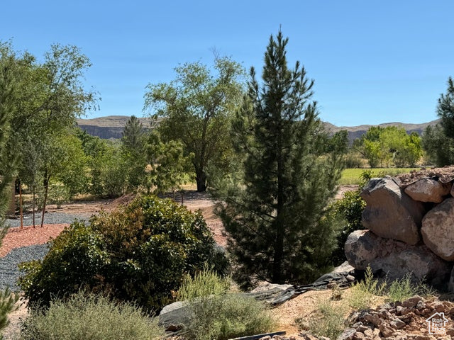 View of local wilderness with a mountain view