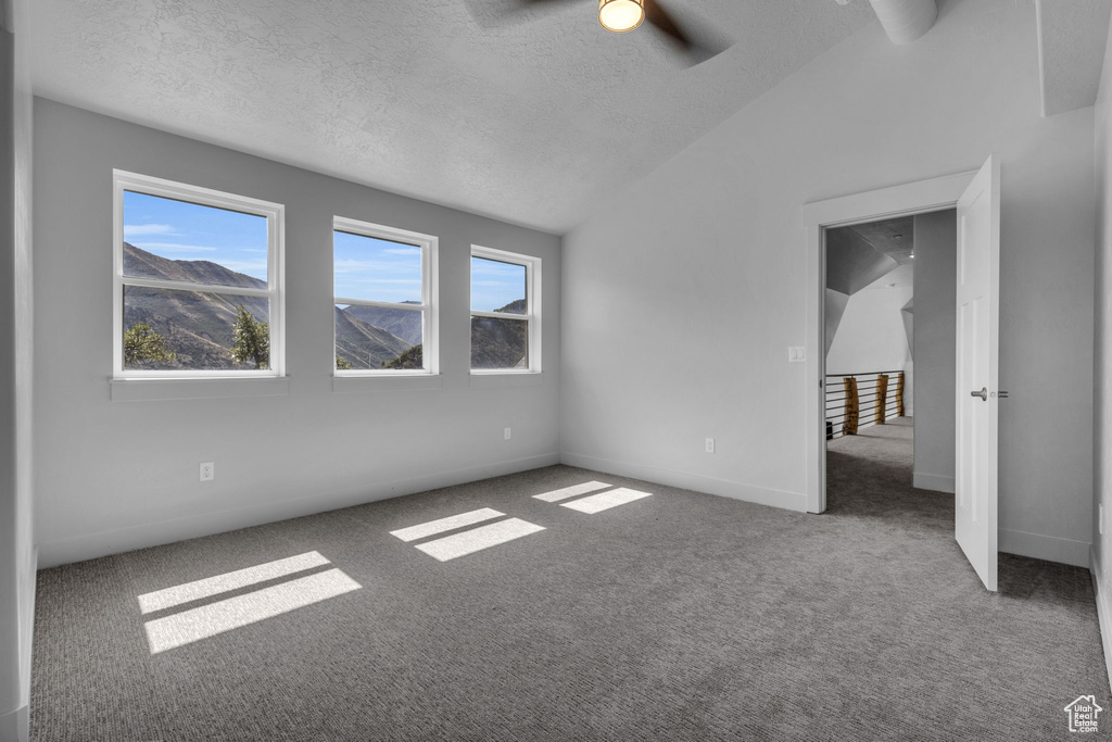 Interior space featuring carpet floors, ceiling fan, a textured ceiling, and lofted ceiling