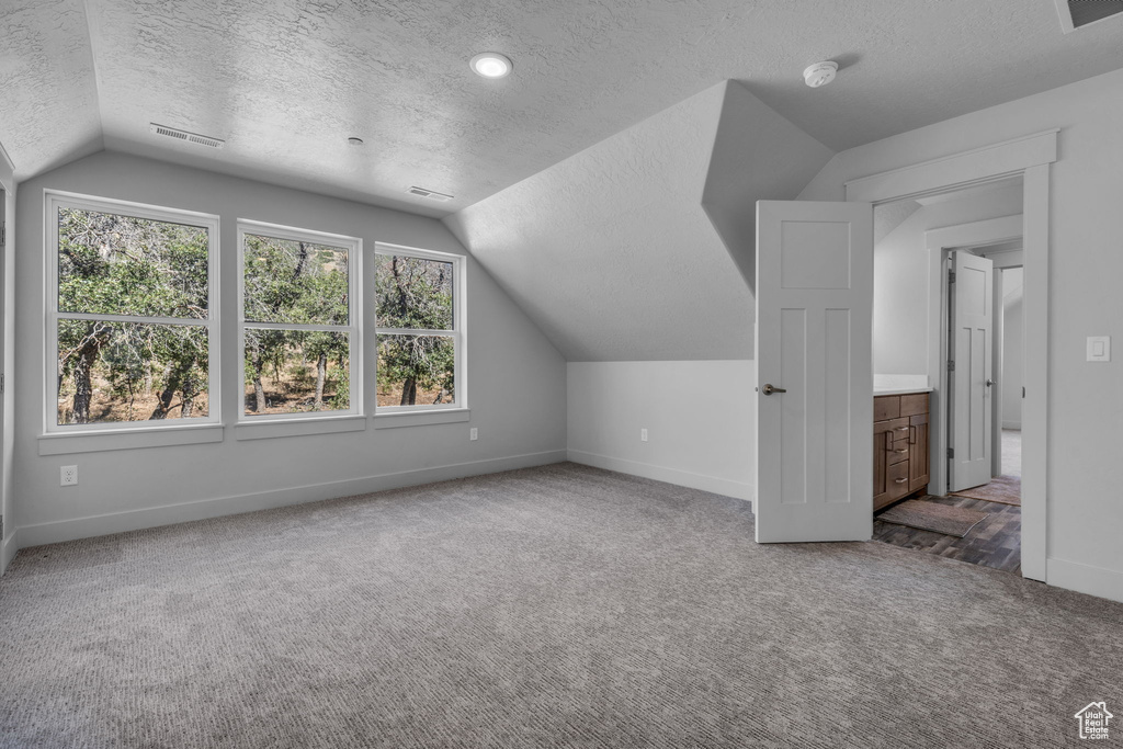 Additional living space featuring a textured ceiling, carpet floors, and vaulted ceiling