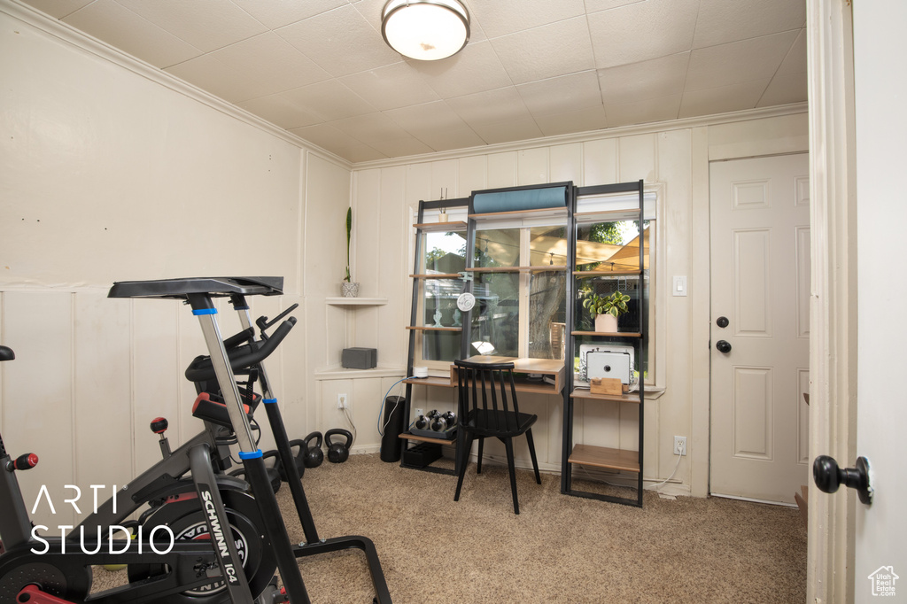 Workout area featuring carpet flooring and ornamental molding