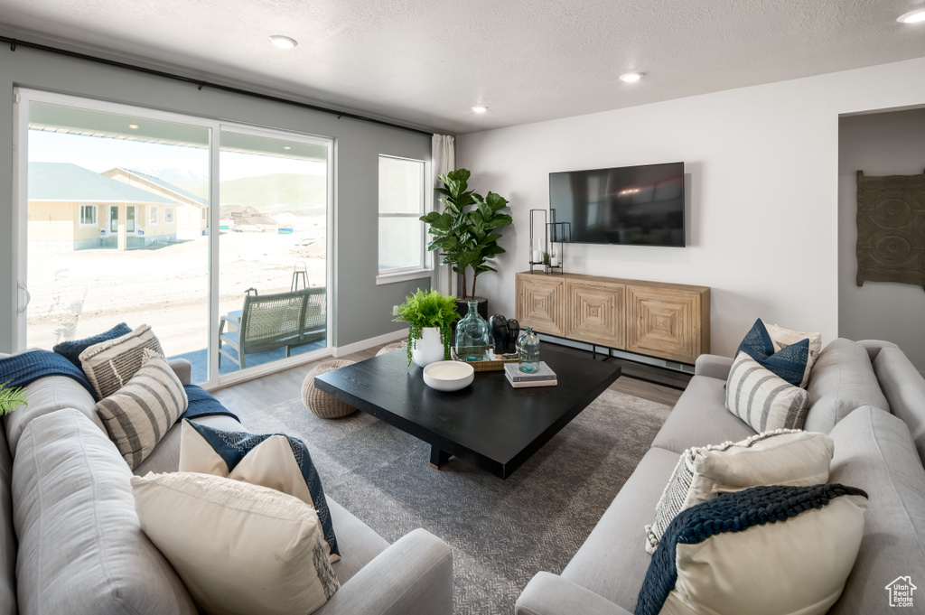 Living room featuring a healthy amount of sunlight and hardwood / wood-style flooring