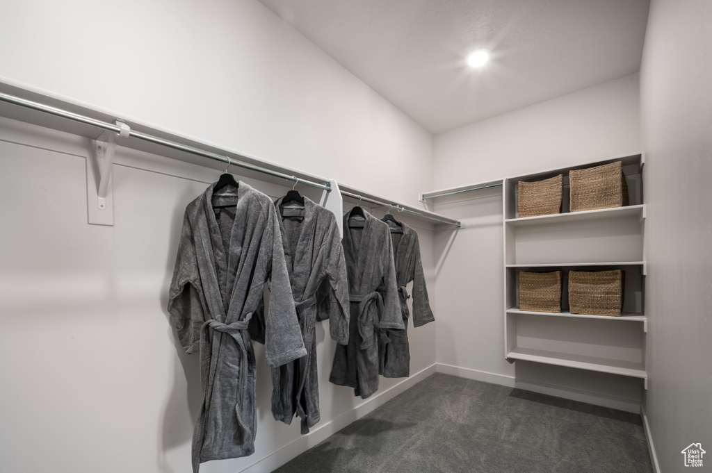 Walk in closet featuring dark colored carpet