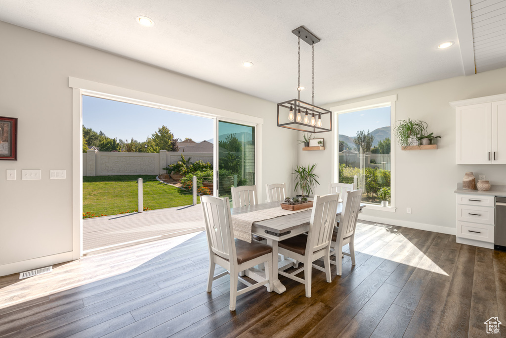 Dining area with a wealth of natural light and dark hardwood / wood-style floors