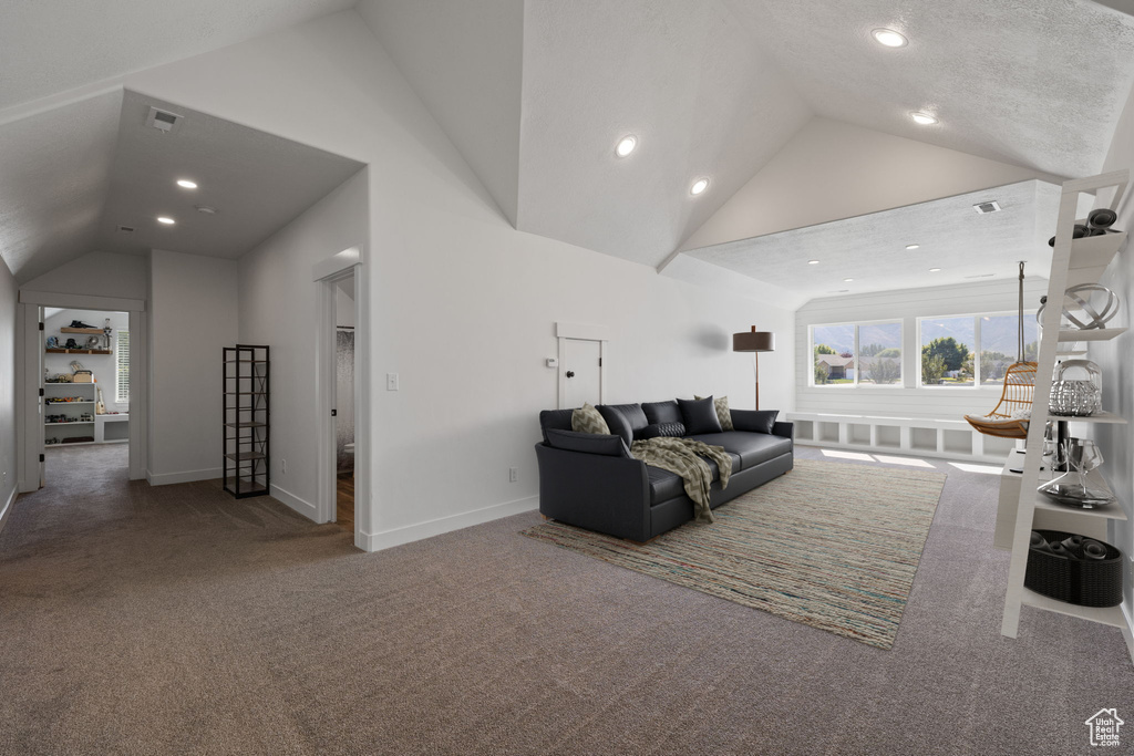 Living room featuring high vaulted ceiling, carpet, and a textured ceiling